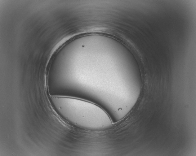 X0000077371324200610201004