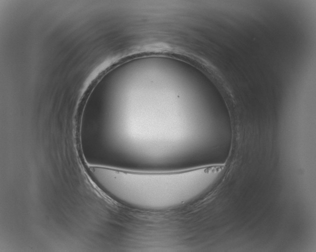 X0000077371326200610201004