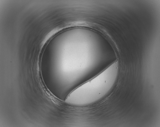 X0000077371328200610201004