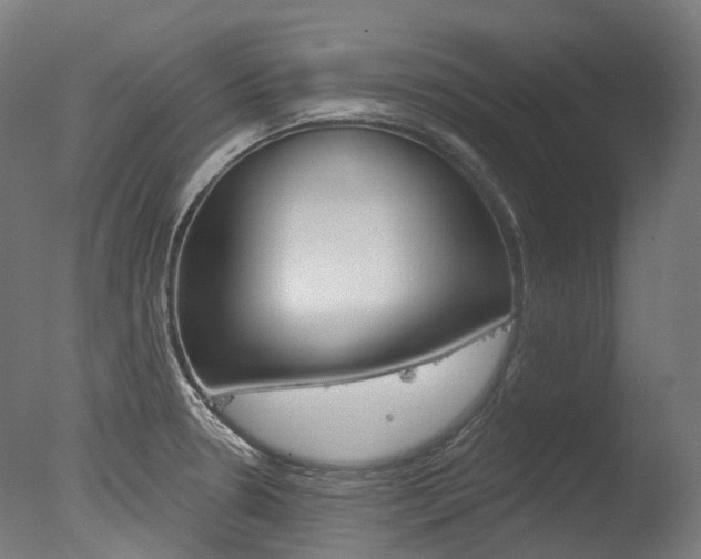 X0000077371330200610201004