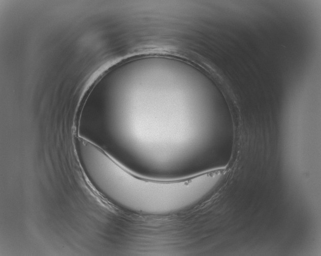 X0000077371332200610201004