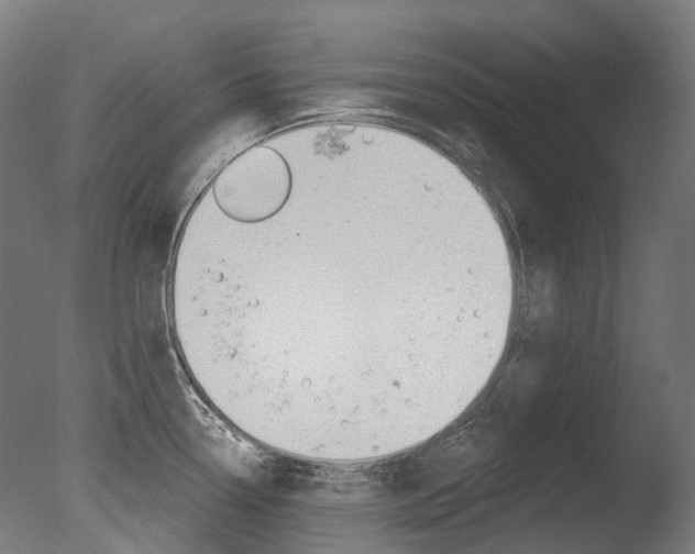 X0000077371338200610201004