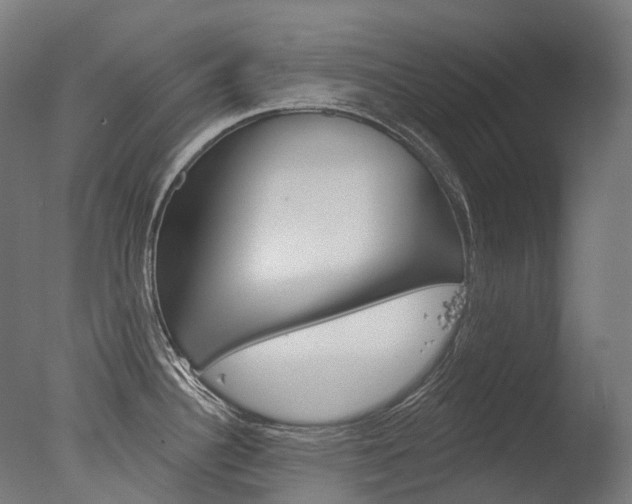 X0000077371340200610201004