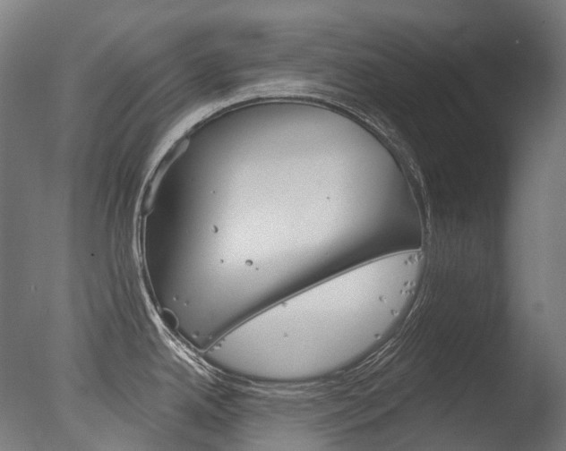 X0000077371342200610201004