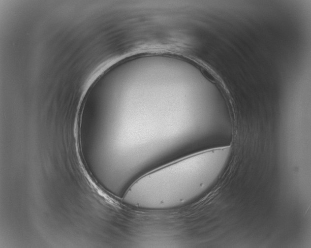 X0000077371343200610201004