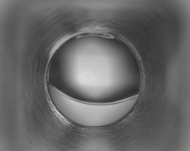 X0000077371344200610201004