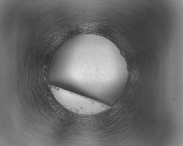 X0000077371346200610201004