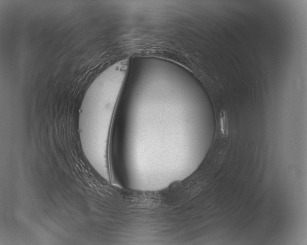 X0000077371347200610201004