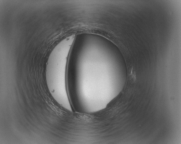 X0000077371348200610201003