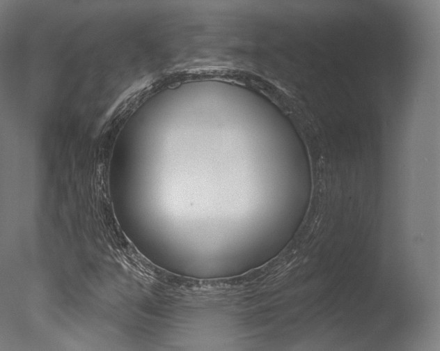X0000077371351200610201003