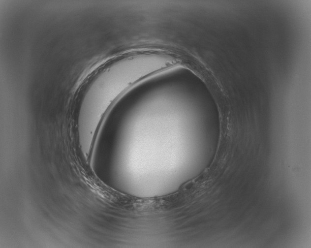 X0000077371352200610201003