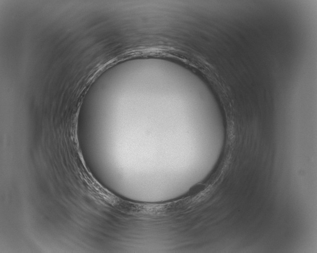 X0000077371353200610201003