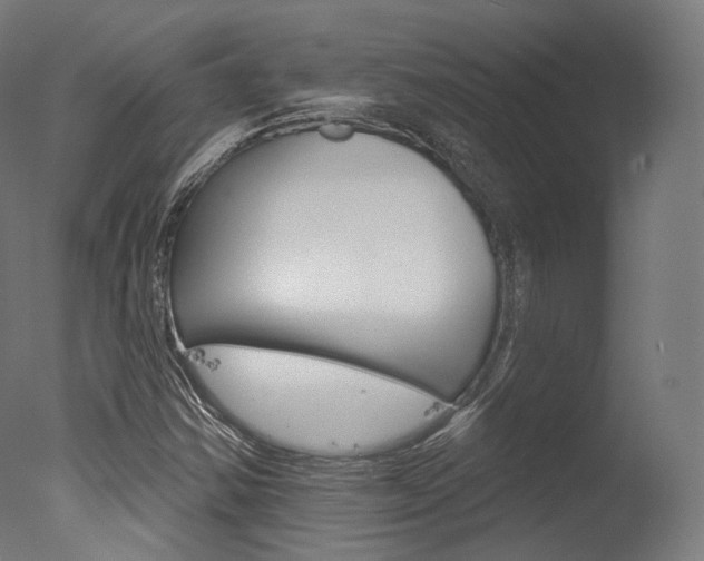 X0000077371354200610201003