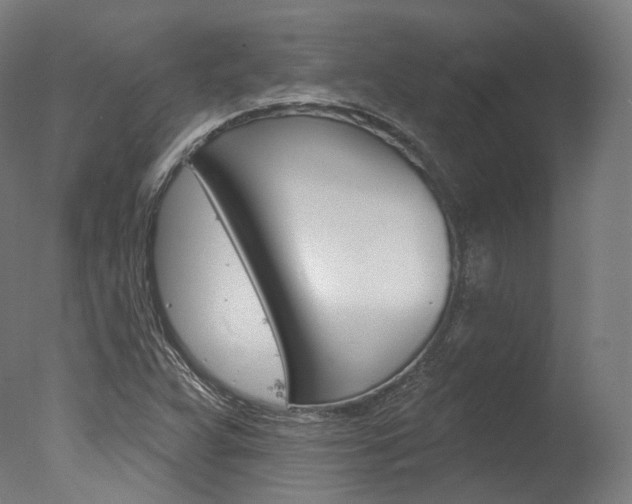 X0000077371359200610201003