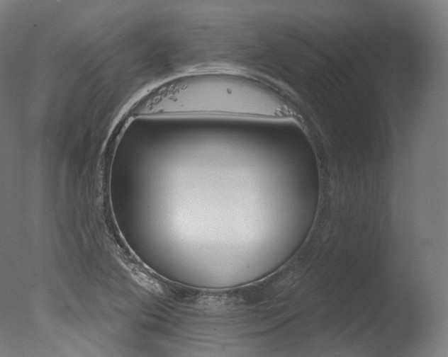 X0000077371364200610201003