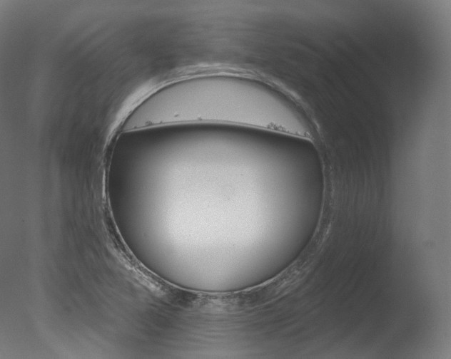 X0000077371365200610201003