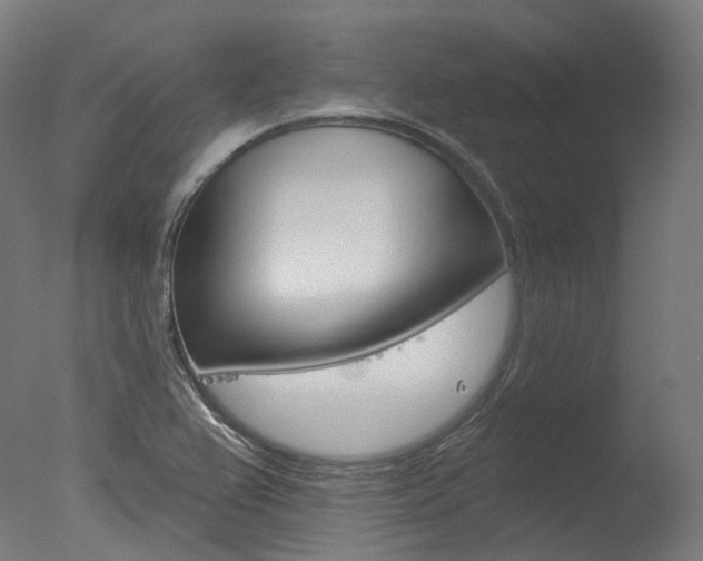 X0000077371367200610201003