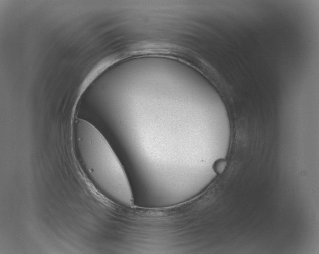 X0000077371370200610201003