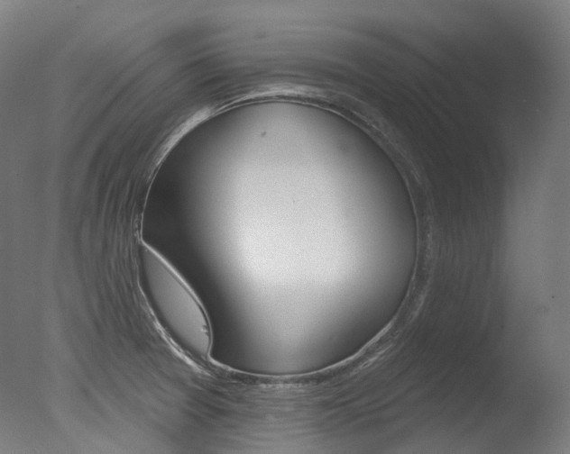 X0000077371377200610201003