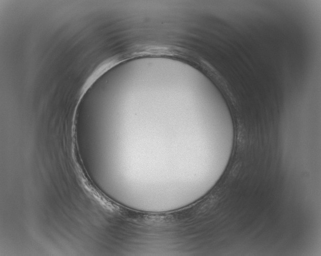 X0000077371378200610201003