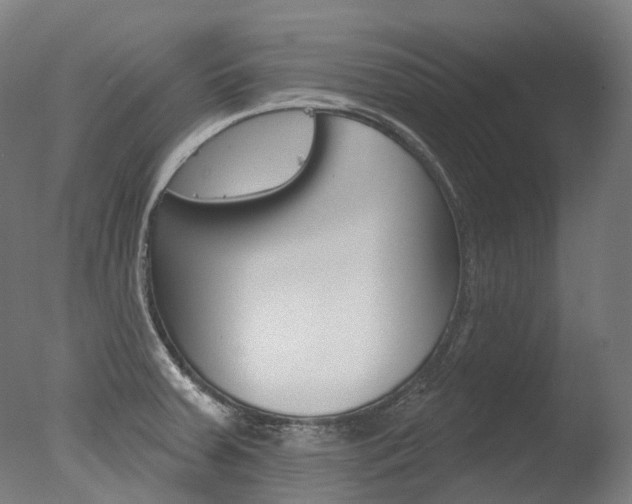 X0000077371379200610201003