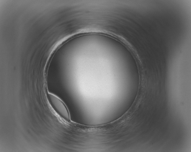 X0000077371380200610201003