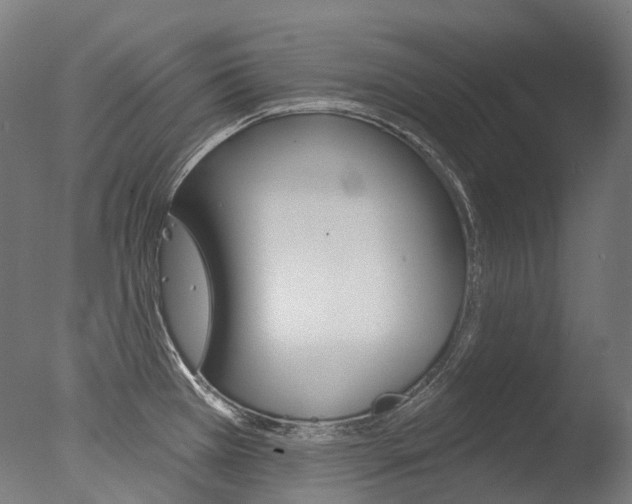 X0000077371385200610201003