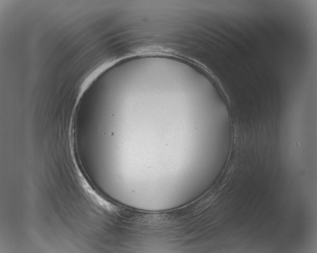 X0000077371387200610201003