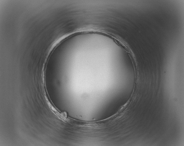 X0000077371388200610201003