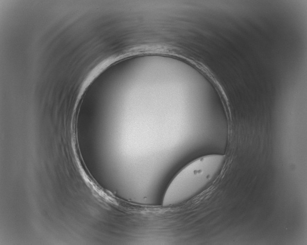 X0000077371389200610201003