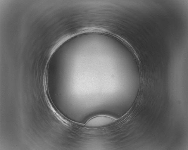 X0000077371391200610201003