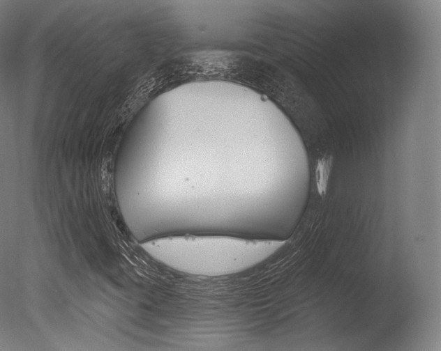 X0000077371395200610201002
