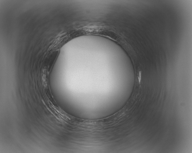 X0000077371396200610201002