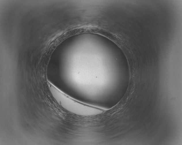 X0000077371398200610201002