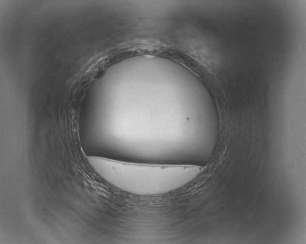 X0000077371399200610201002