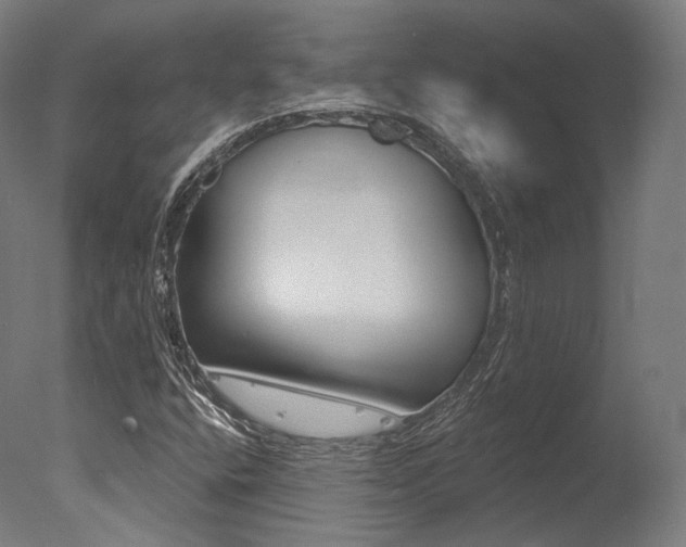 X0000077371400200610201002