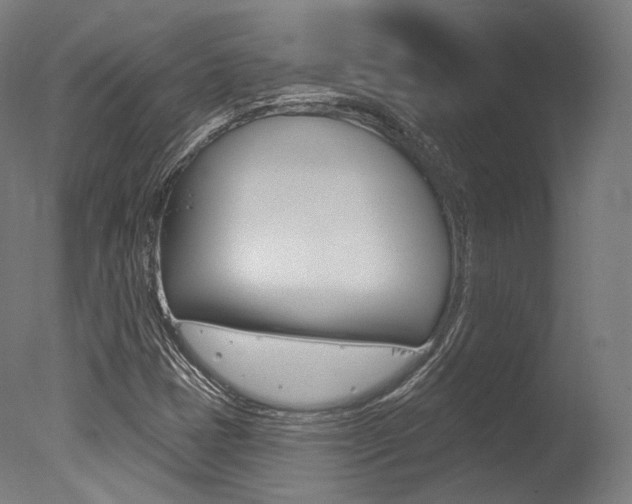 X0000077371401200610201002