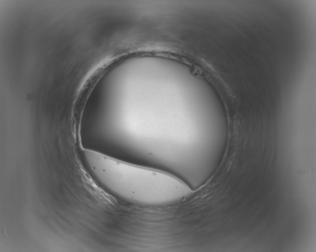 X0000077371408200610201002