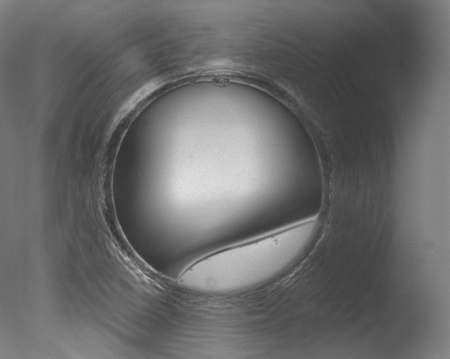 X0000077371410200610201002