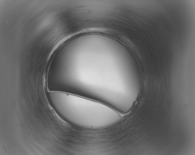 X0000077371420200610201002
