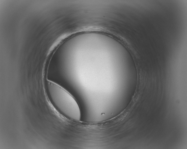 X0000077371422200610201002