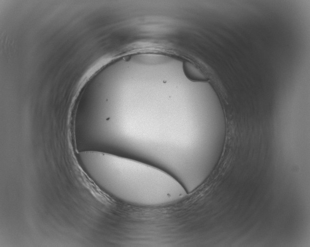 X0000077371427200610201003