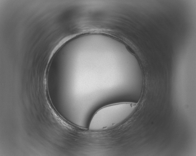X0000077371428200610201003