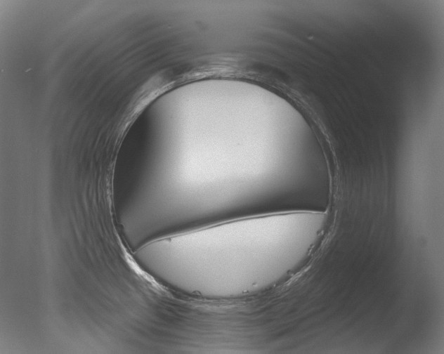 X0000077371433200610201003
