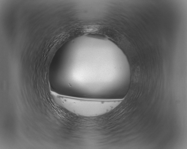 X0000077371441200610201002