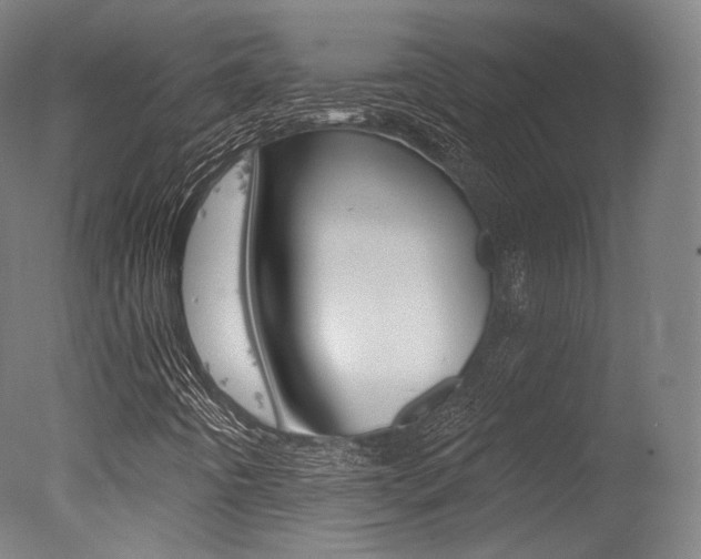 X0000077371442200610201002
