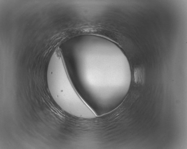X0000077371444200610201002