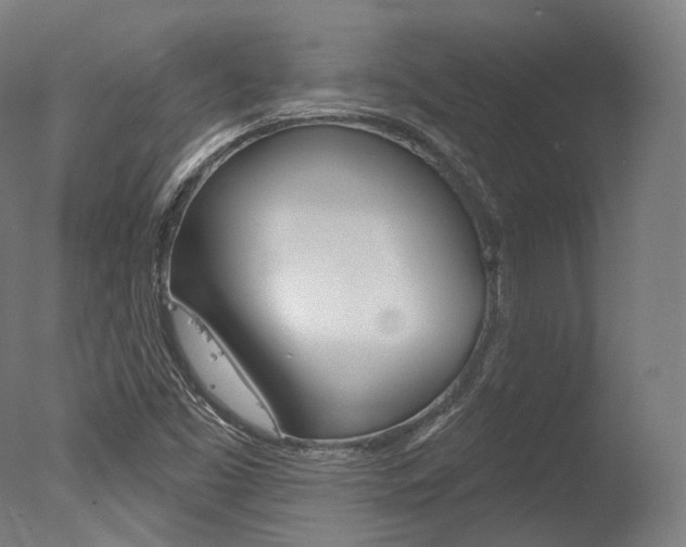 X0000077371453200610201002