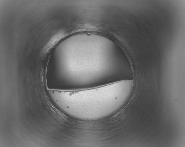 X0000077371455200610201002