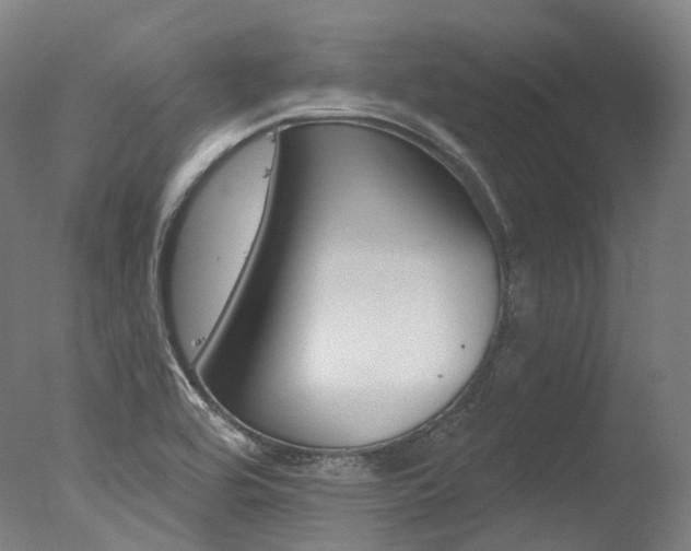 X0000077371464200610201002
